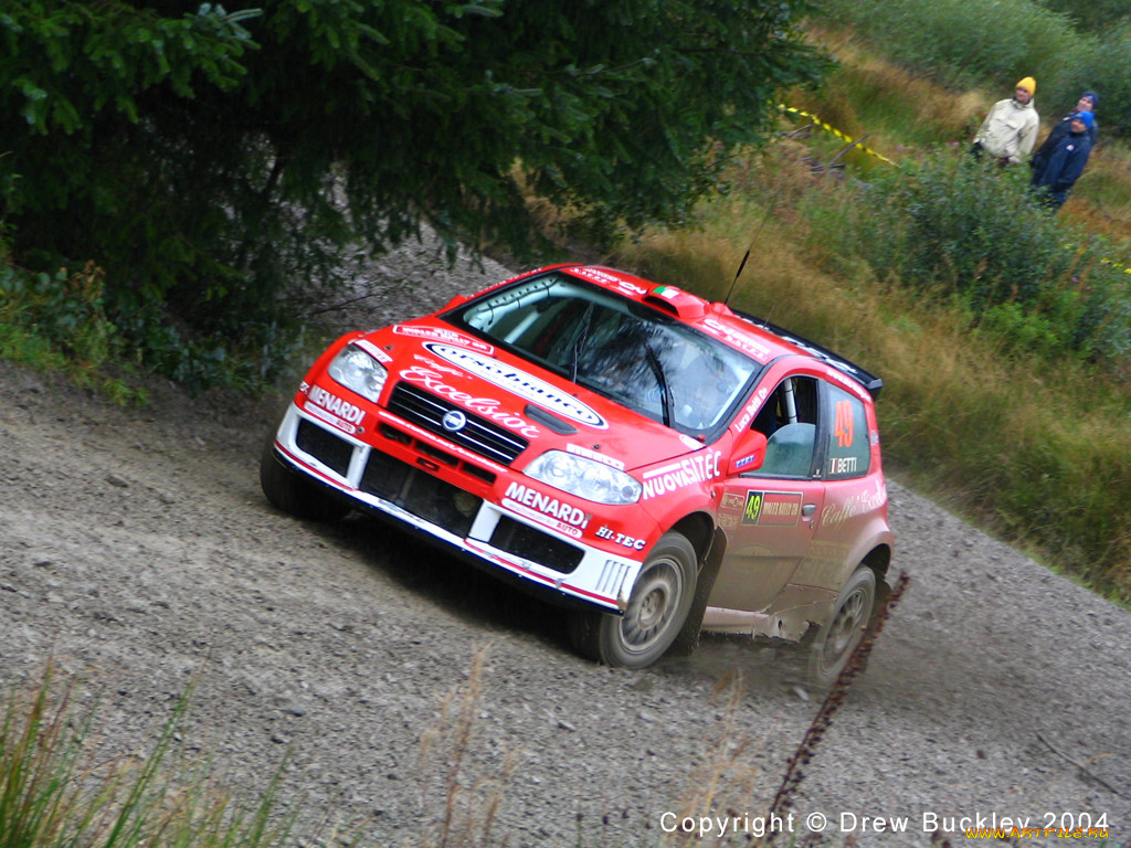 fiat, punto, rally, 